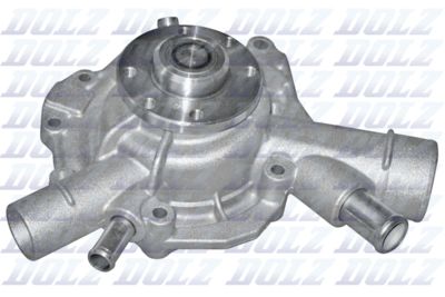 Pompe à eau Dolz M217