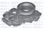 Pompe à eau Dolz M639