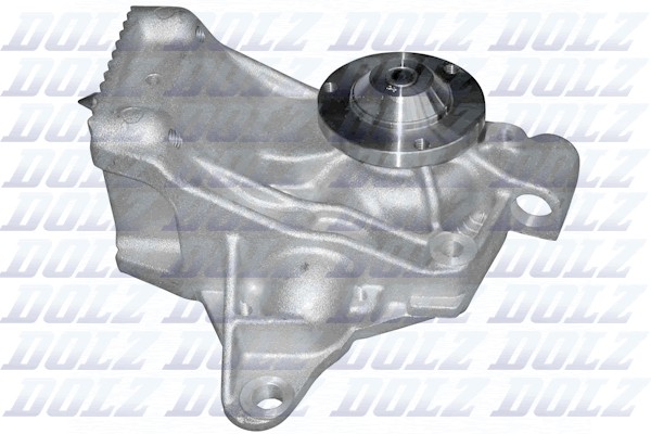 Pompe à eau Dolz R220