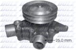 Pompe à eau Dolz R613