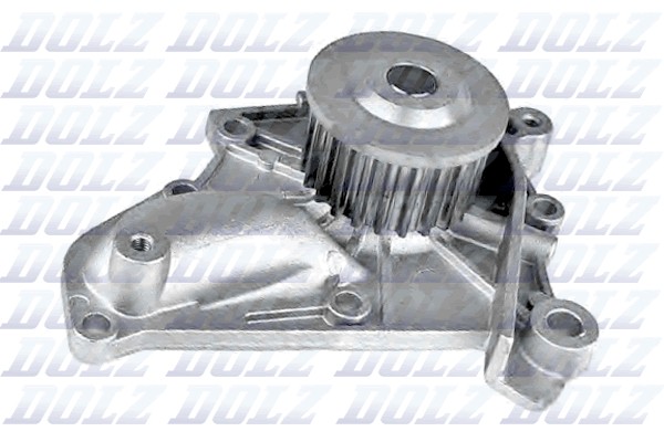 Pompe à eau Dolz T212