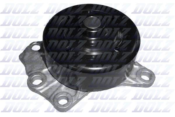 Pompe à eau Dolz T226