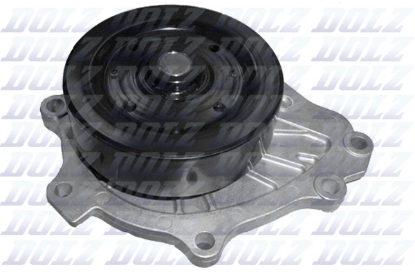 Pompe à eau Dolz T231